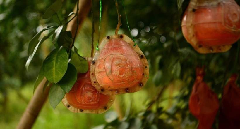 Đối với những quả bưởi không tạo hình sẽ có mức giá bán từ 200.000 - 250.000 đồng/quả, còn những quả được tạo hình thì mức giá giao động khoảng 500.000 đồng/quả. Dù có mức giá khá đắt, nhưng thời điểm cận Tết, các hộ dân tại đây đều không còn hàng để bán. Hiện nay, giống bưởi đỏ chỉ ít nơi trồng được nên sản lượng hàng năm thường không nhiều, cung không đủ cầu.