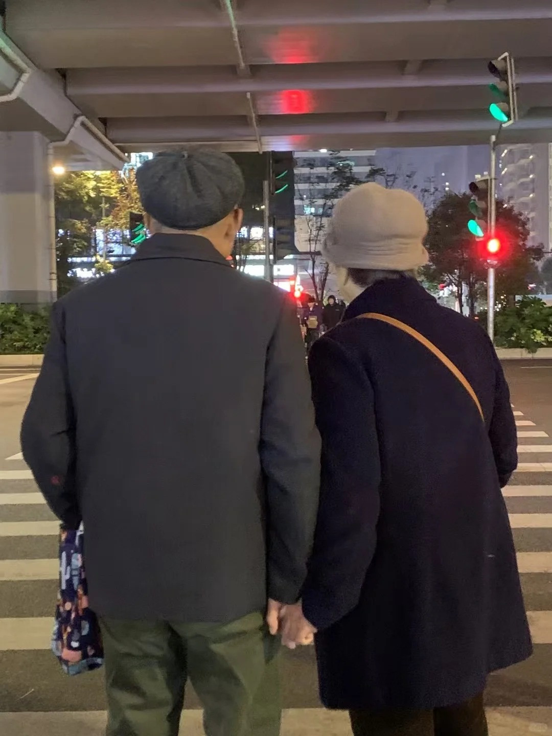 Loạt hành động khó tin của những cặp yêu nhau khi về già khiến cả khu phố ngoái nhìn, lập tức bật camera lên