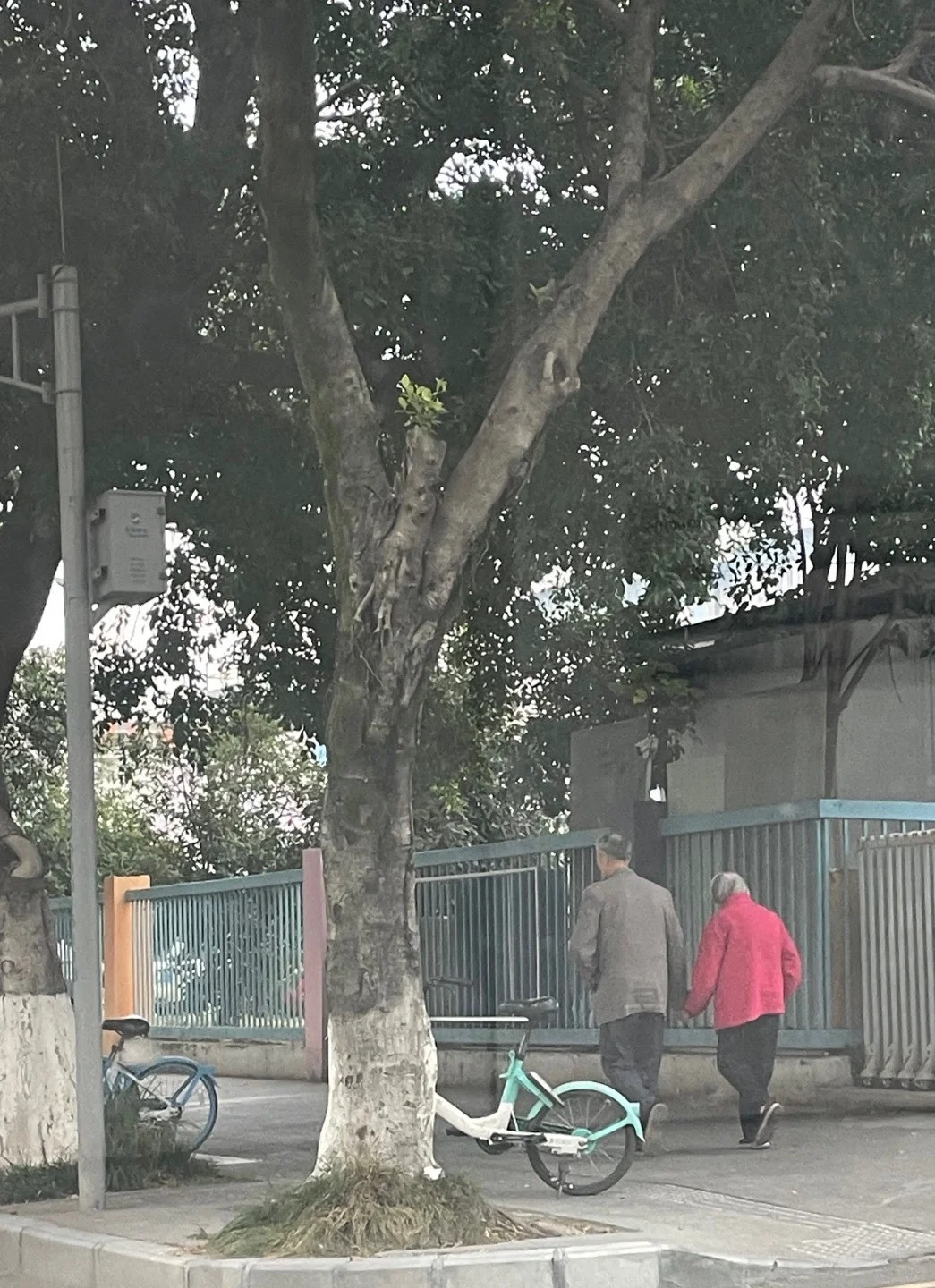 Loạt hành động khó tin của những cặp yêu nhau khi về già khiến cả khu phố ngoái nhìn, lập tức bật camera lên