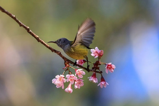 Trong 12 ngày tới, 3 con giáp sở hữu vận may rực rỡ, sự nghiệp thăng tiến vượt trội, Tài Lộc bùng nổ