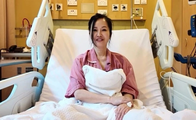 diva hong nhung.jpg