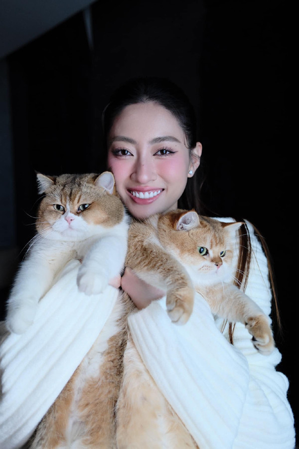 Hoa hậu từng thân thiết với Á hậu Phương Nhi có sự nghiệp thành công, cuộc sống vật chất thoải mái - Ảnh 4.