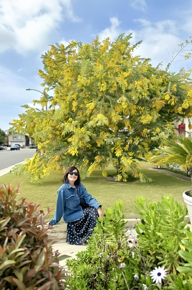 Nghệ sĩ Hồng Đào tuổi 63 tuổi nhan sắc thăng hạng, sự nghiệp toả sáng - Ảnh 12