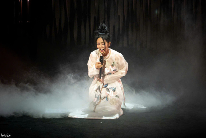 Hồng Nhung trong liveshow