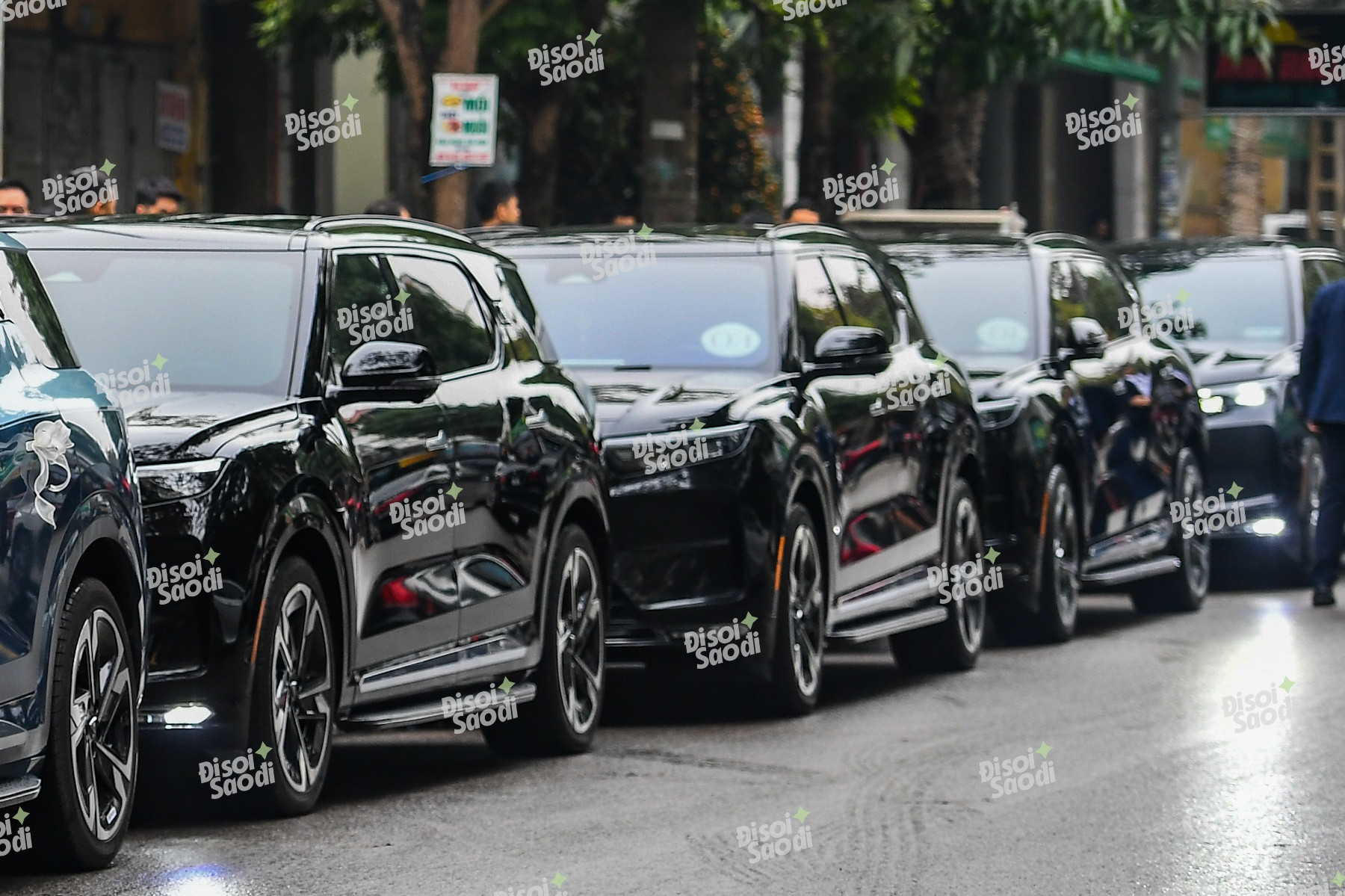 01img4955 17369098384081248179521 1736913052564 17369130527871945729972 17375995734301441088835