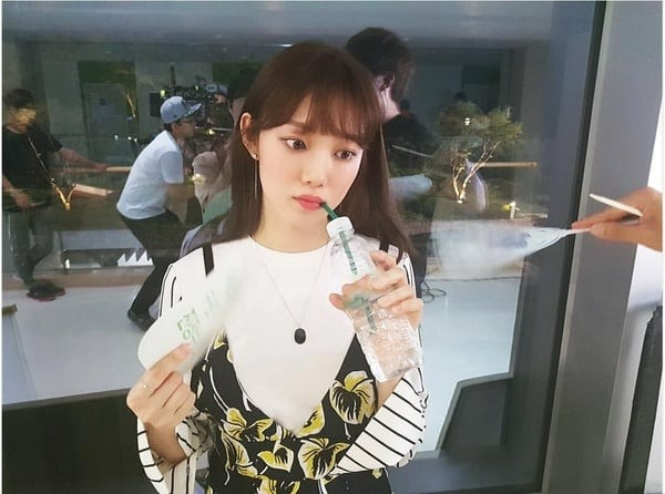 ankhongbeo1.jpg