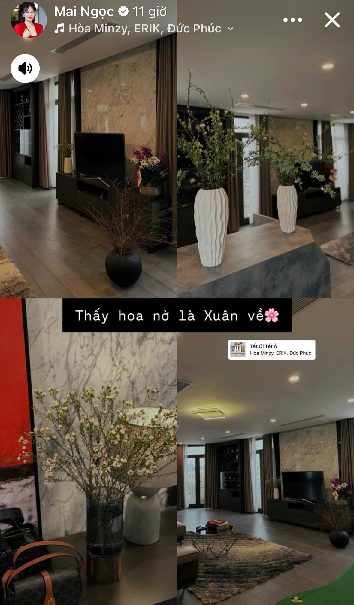 9564dc43d23c6d62342d