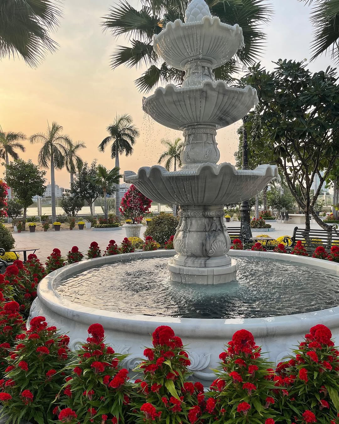 instasavewebsite47432005618481521865012027500954415381990819n