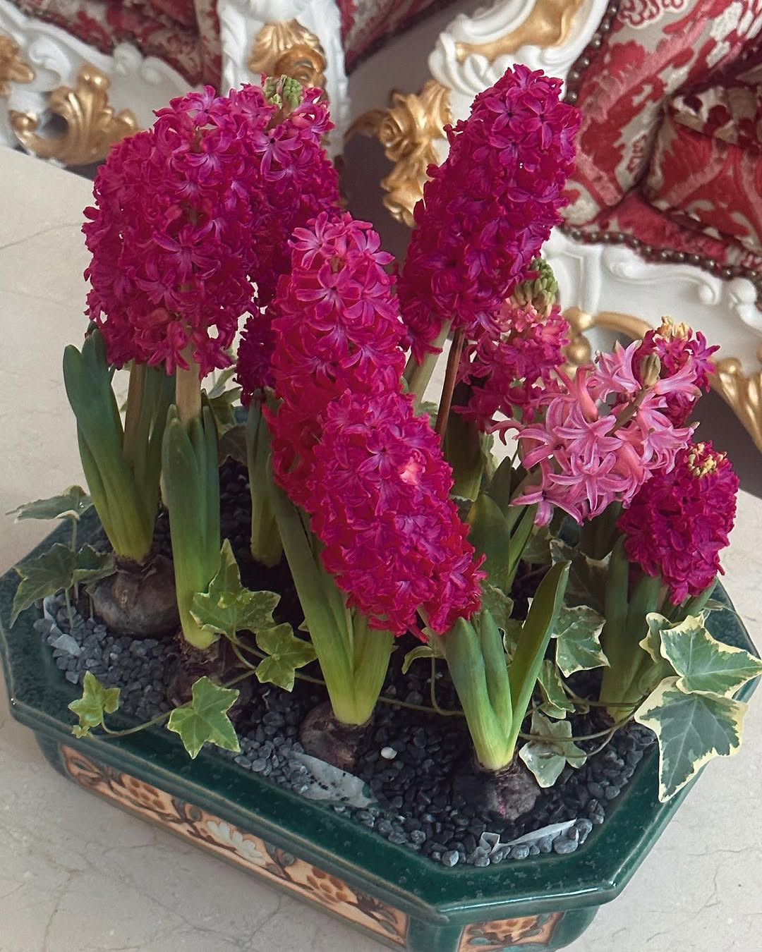 instasavewebsite474661183184815219070120278242353413149515174n