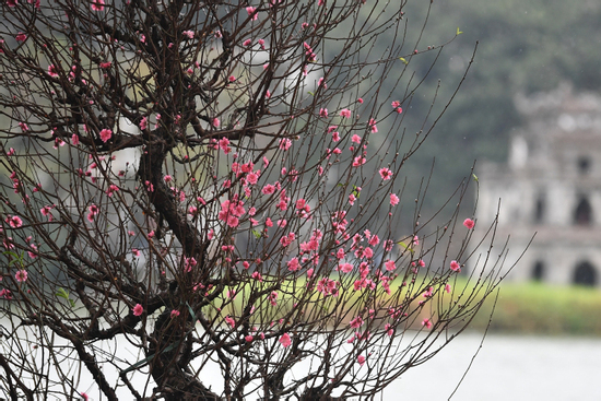 Dự báo thời tiết ngày 29 Tết: Miền Bắc rét cóng, miền Trung có mưa