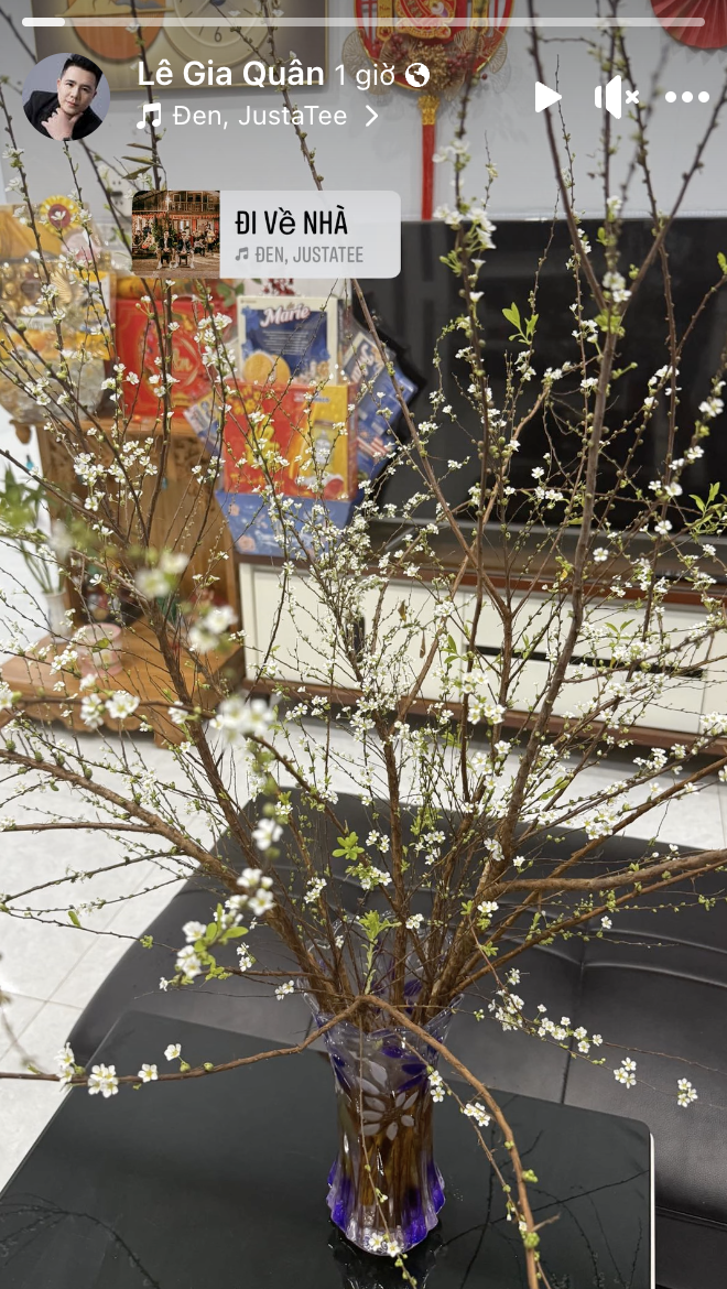 screen shot 2025 01 26 at 223031