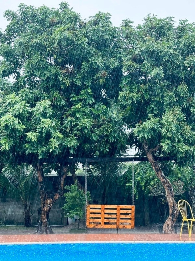 Bể bơi trong căn nhà vườn của Mỹ Tâm.