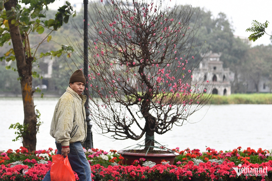 Dự báo thời tiết mùng 2 Tết: Miền Bắc và Trung giảm rét, miền Nam đêm lạnh