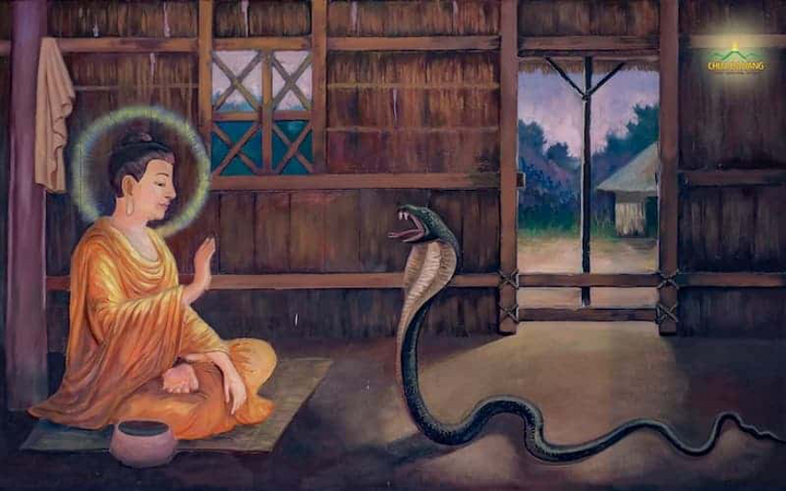 Đức Phật Thích Ca Mâu Ni thuyết pháp cho con rắn lục có vằn ngay trước cửa đại điện. (Ảnh minh họa: Phatgiao.org)