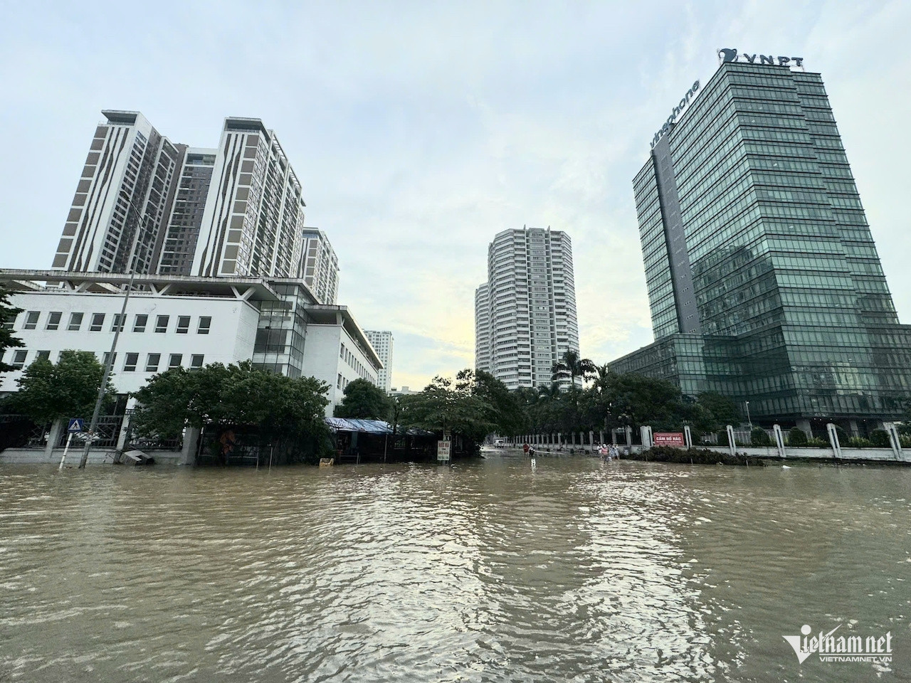 W-Nguyen Van Huyen sưa.jpeg