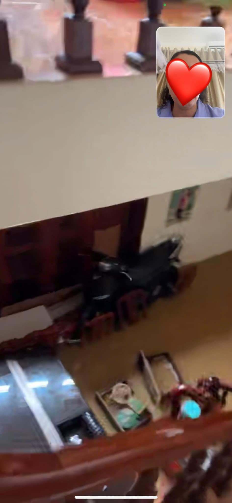 Sốc cảnh tượng ngập trong nhà hoa hậu Lương Thùy Linh