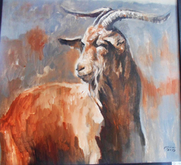 Càng về cuối năm càng giàu 3 con giáp chậm mà chắc tiền của thu về đầy nhà