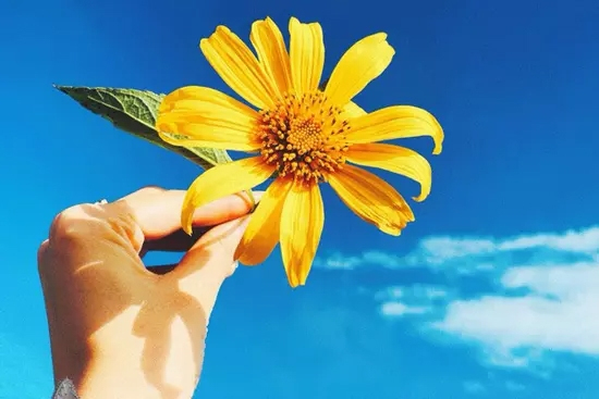 Trúng số độc đắc đúng ngày 13/10/2025, 3 con giáp đại phúc đại quý, tiền bạc lẫn tài lộc ào ào vào nhà