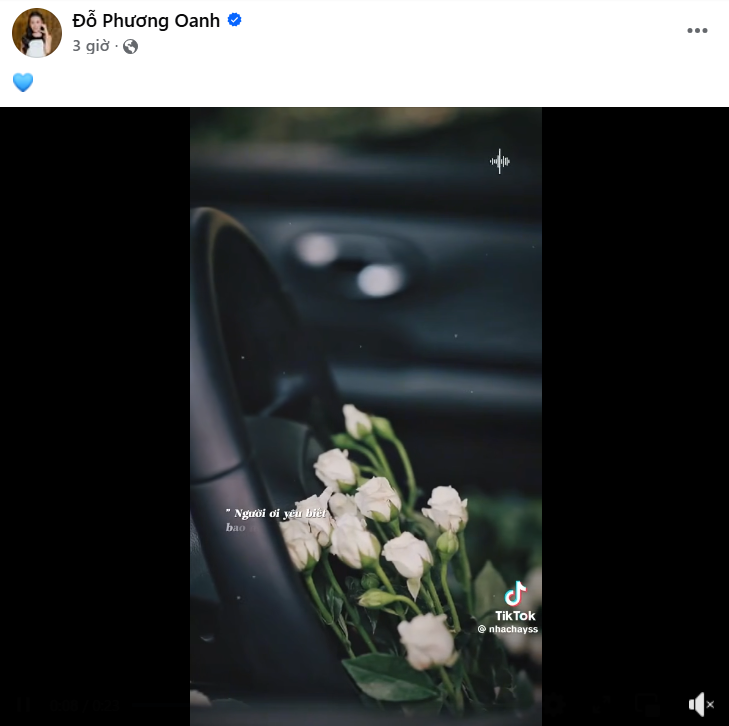 Phương Oanh cuối cùng cũng lên tiếng giữa ồn ào của Shark Bình