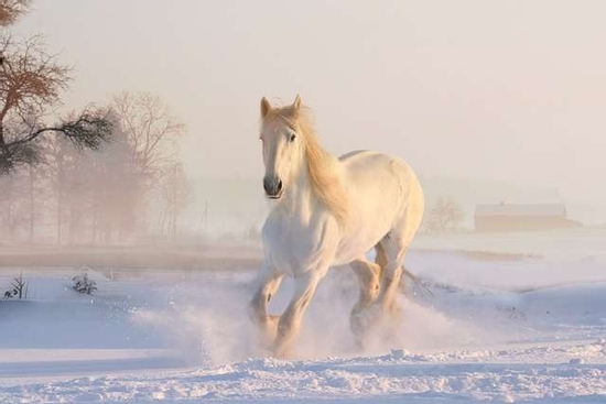 Trúng số độc đắc đúng 2 ngày liên tiếp (13/10-14/10), 3 con giáp đón cơn mưa tài lộc, tiền bạc dư dả, sự nghiệp 'thuận buồm xuôi gió'