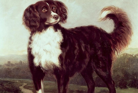 Đúng 6h sáng thứ Ba 14/10/2025, con giáp bùng nổ tài lộc, công việc vượng phát, của cải tự nhiên lăn vào nhà