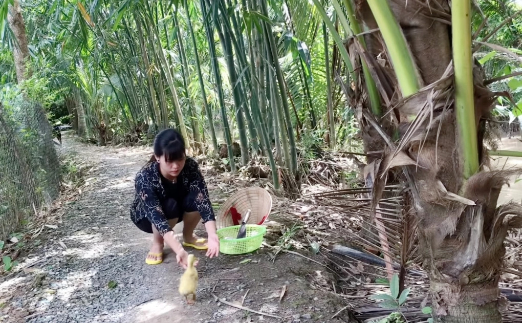 452a5781e3050e63505d4143cb2a80b3