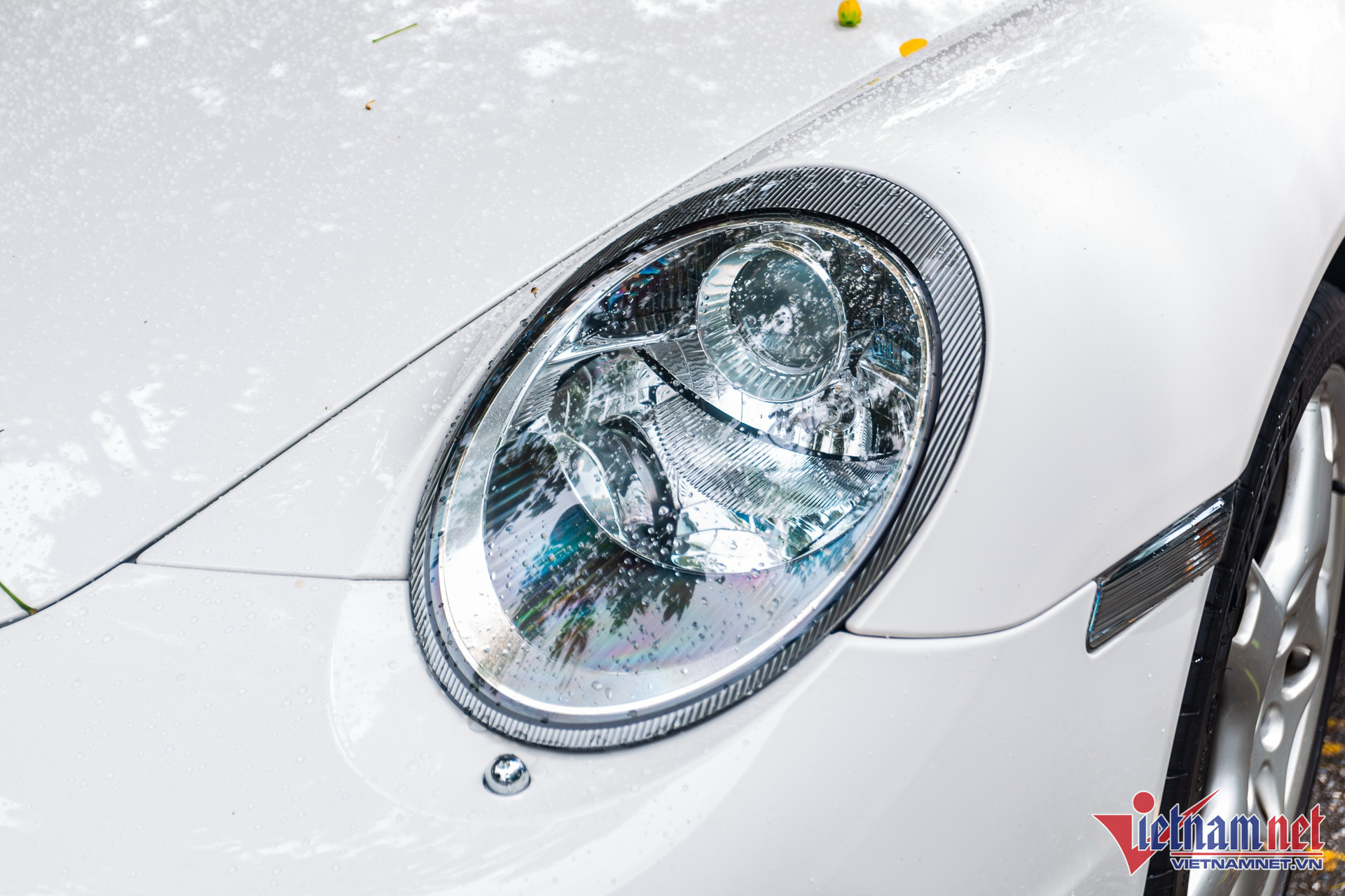 W-porsche co 8.JPG.jpg