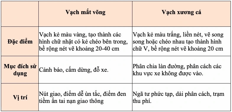 nhung dieu can biet ve vach ke duong xuong ca va mat vong tren duong hinh anh 3