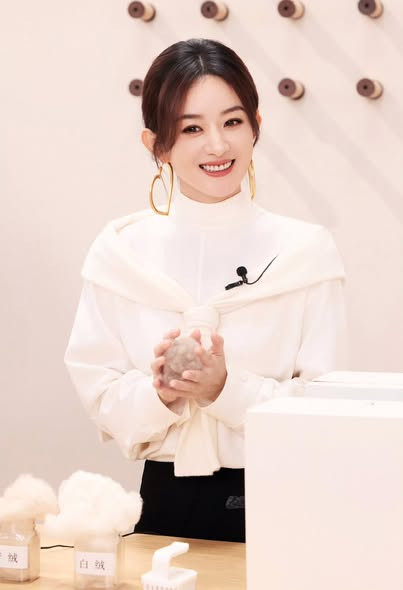 Triệu Lệ Dĩnh thắng kiện antifan, khẳng định vị thế, bản lĩnh hiện tại - Ảnh 2