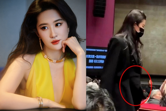 Lưu Diệc Phi vướng nghi vấn mang thai sau tin đồn hẹn hò doanh nhân U60