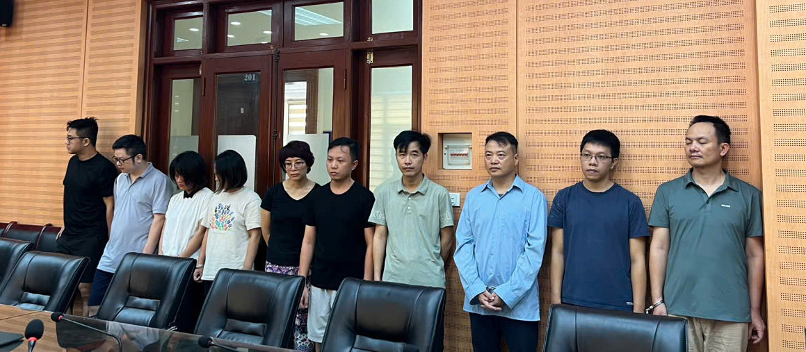 shark bình bị bắt