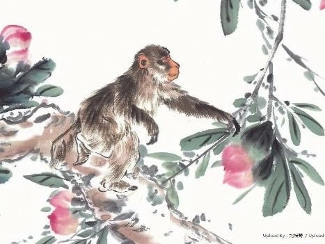 Tử vi 12 con giáp thứ Bảy ngày 18102025