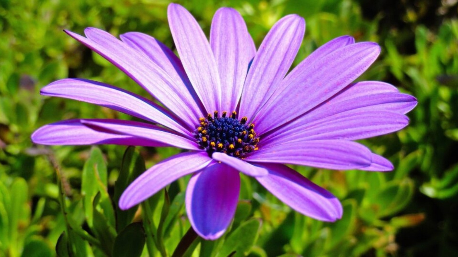 Tháng sinh Âm lịch của người biết nắm bắt thời cơ: Càng trưởng thành càng tỏa sáng - Ảnh 4.