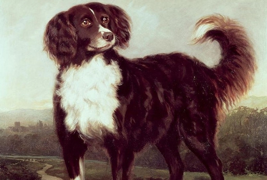 Đúng 6h thứ Sáu 3/10/2025, 3 con giáp hồng phúc sâu dày, sự nghiệp bứt tốc như ngựa phi mã