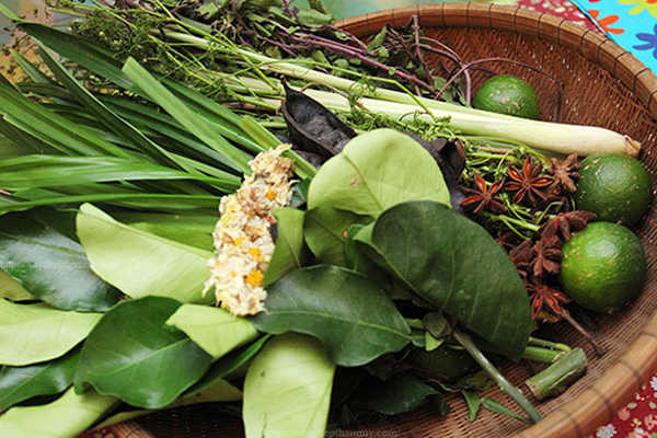 Làm đẹp tóc bằng một loại lá có sẵn trong vườn nhà- Ảnh 3.