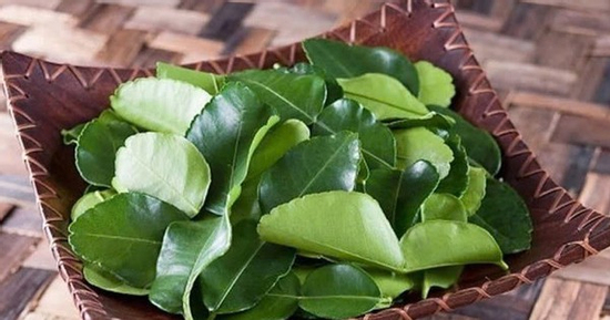 Làm đẹp tóc bằng một loại lá có sẵn trong vườn nhà