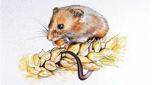 Tử vi 12 con giáp thứ Sáu ngày 3102025