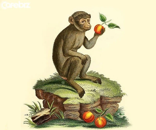 Tử vi 12 con giáp thứ Ba ngày 21102025