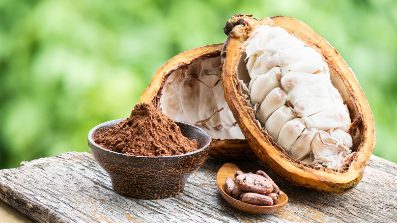Uống cacao theo cách này vừa ngon vừa giúp da bạn đẹp lên mỗi ngày- Ảnh 1.