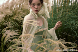 Lưu Diệc Phi thảm đỏ Vogue China