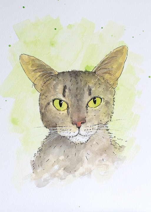 Tử vi 12 con giáp thứ Bảy ngày 25102025