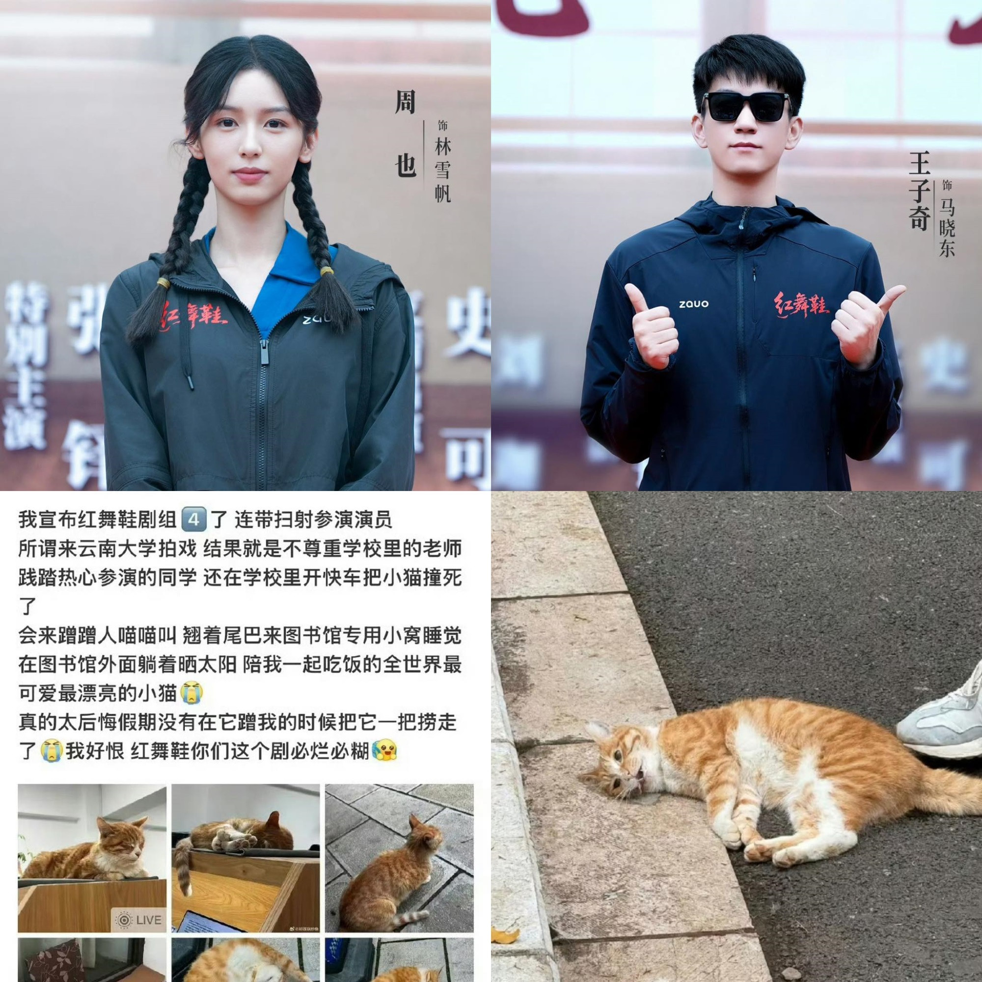 Đoàn phim của Châu Dã xin lỗi sau sự cố đâm chết mèo trong trường Đại học - Ảnh 1