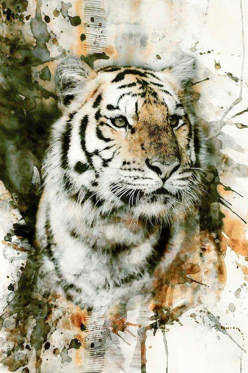 Trong 3 ngày đầu tuần 2710  2910 3 con giáp thẳng tiến giàu sang nghèo mấy cũng hóa giàu