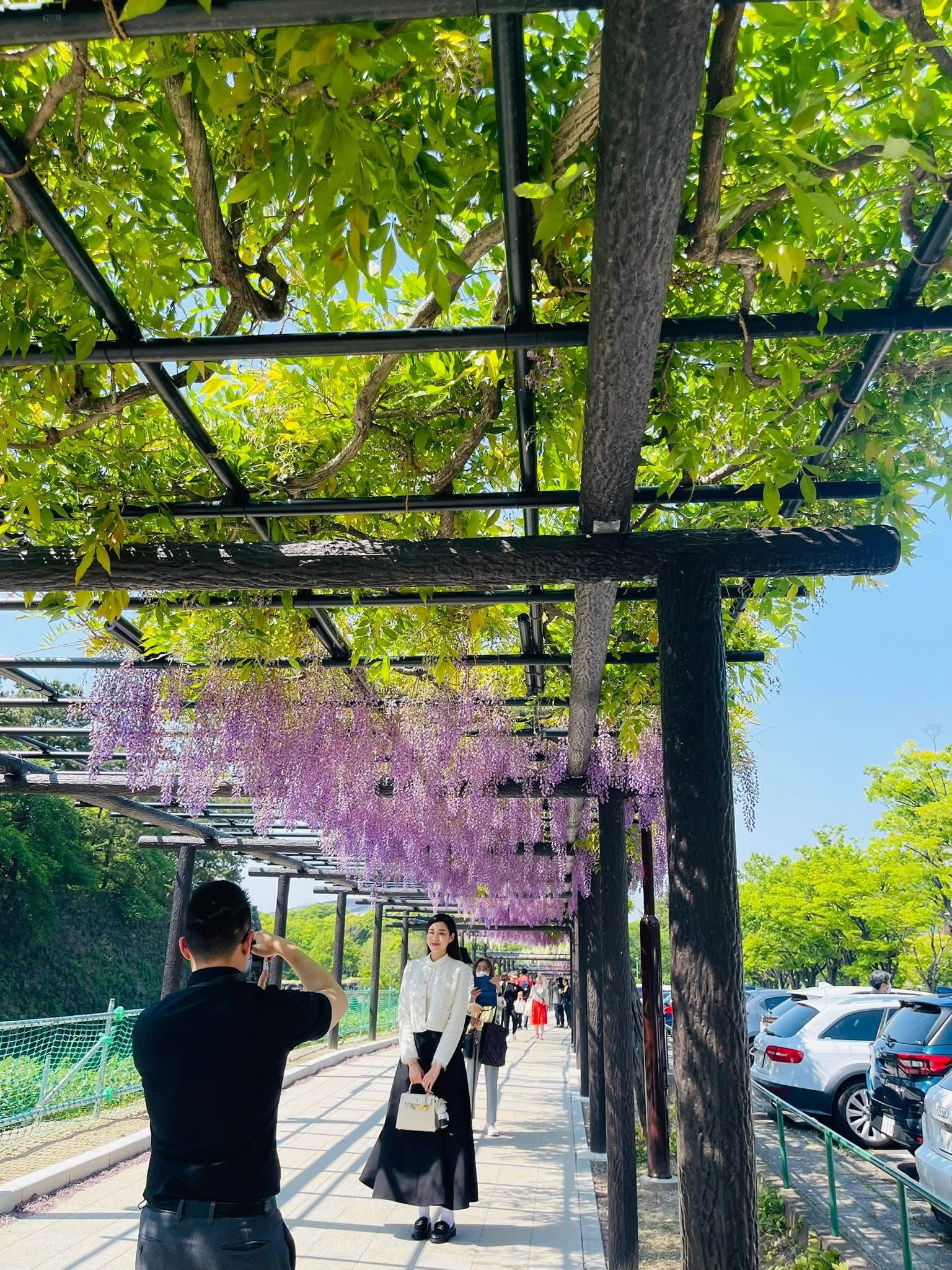 Loạt khoảnh khắc chưa từng công bố về Đỗ Thị Hà và ông xã Viết Vương