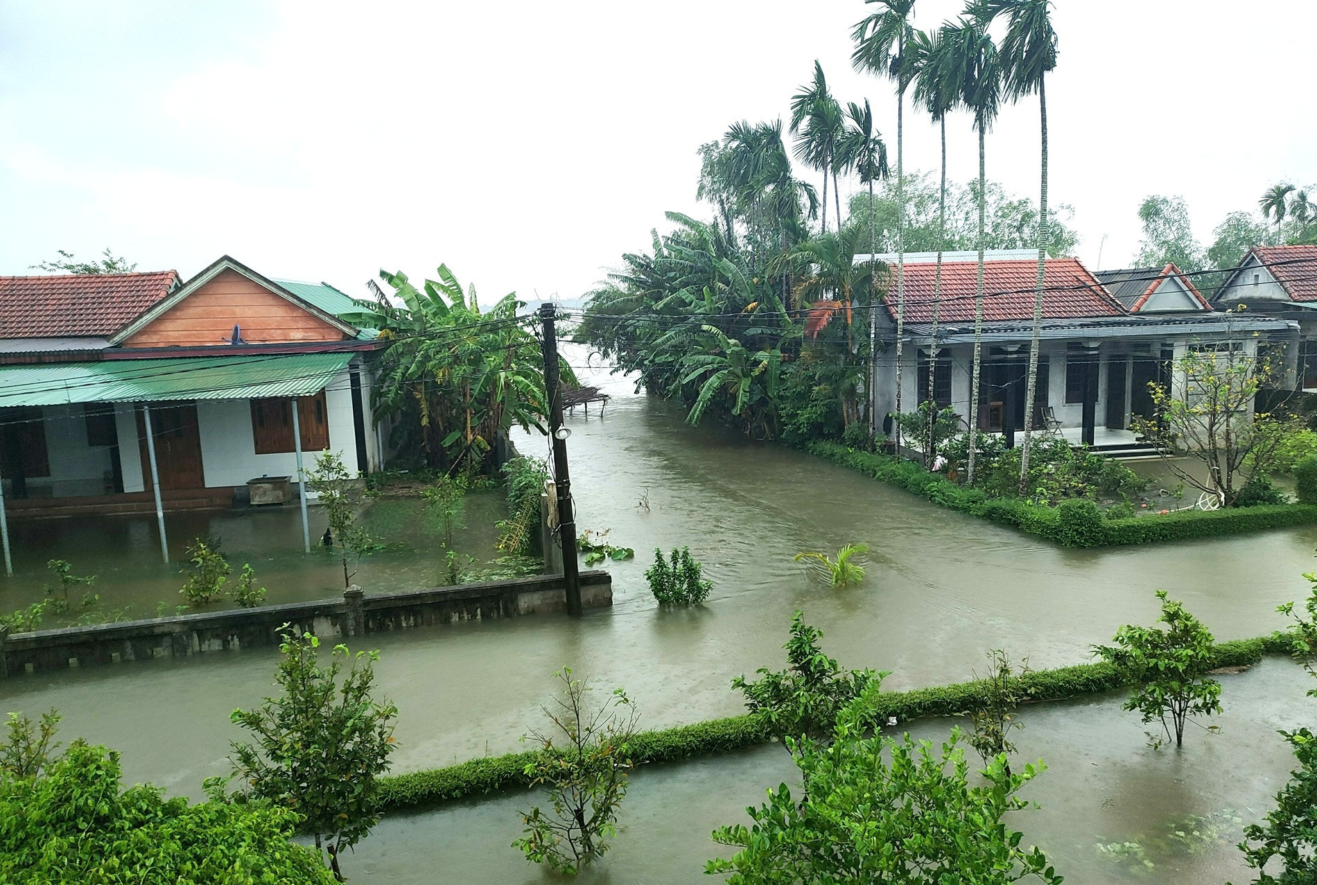 e5cc6d9f c6bc 4835 909e c20278458652.jpg