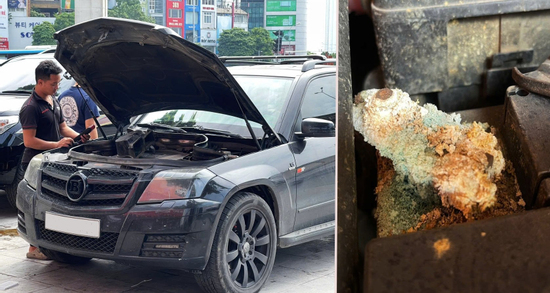 Xe đang đi bỗng chết máy, tài xế tá hỏa khi thấy cảnh tượng ở dưới nắp capo