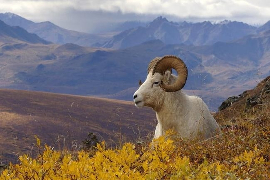 Đúng hôm nay, thứ Ba 28/10/2025, 3 con giáp sự nghiệp tăng tiến như 'ngựa phi mã', vận mệnh rực sáng không ngờ