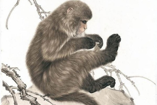 Trúng số độc đắc đúng 2 ngày liên tiếp (30/10-31/10),  3 con giáp hỷ sự lâm môn, sự nghiệp 'phất như diều gặp gió'