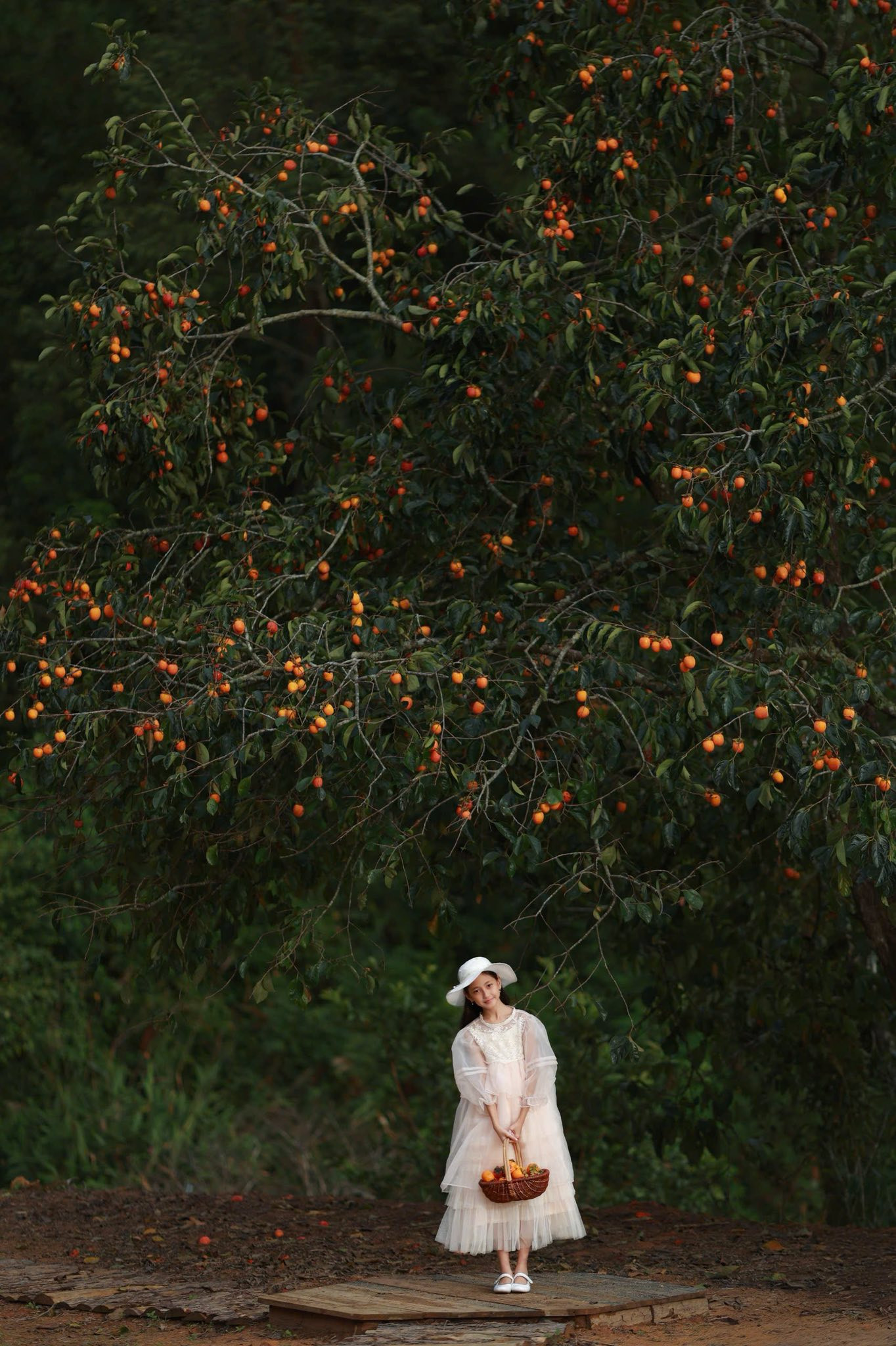 Con gái Hoa hậu Hà Kiều Anh trong trẻo, thuần khiết như 'nàng thơ' - Ảnh 3.
