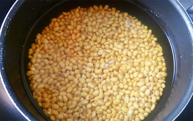 Học cách nấu sữa đậu nành để tăng kích cỡ vòng một hiệu quả - Ảnh 6.